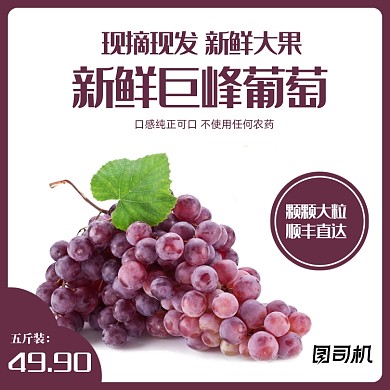 简约水果火龙果蓝莓葡萄草莓主图