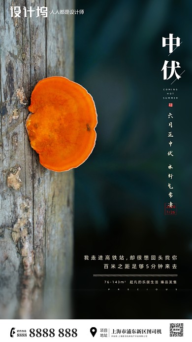 房地产传统三伏天中伏手机海报