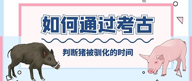 判断猪被驯化的时间公众号首图