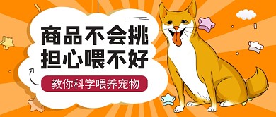 橙色卡通宠物喂养指南公众号首图