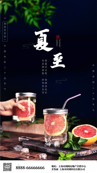 时尚简约摄影海报夏至