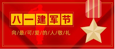 红色大气简约建军节敬礼宣传