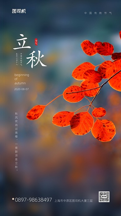 立秋节气简约摄影手机宣传海报