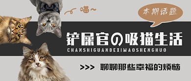 灰色宠物休闲娱乐公众号首图