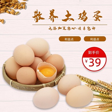 农家土鸡蛋食品主图