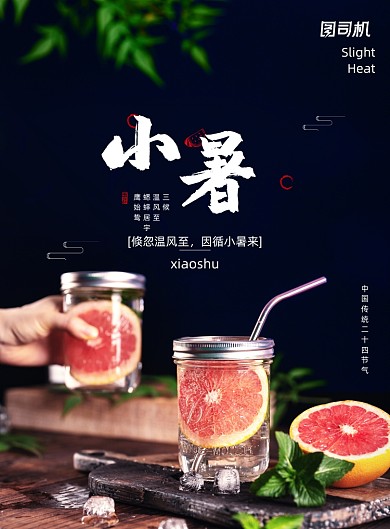传统二十四节气之小暑节气海报