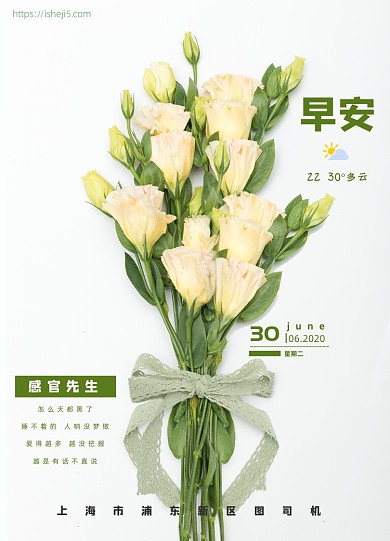 感官先生文艺清新桔梗花束