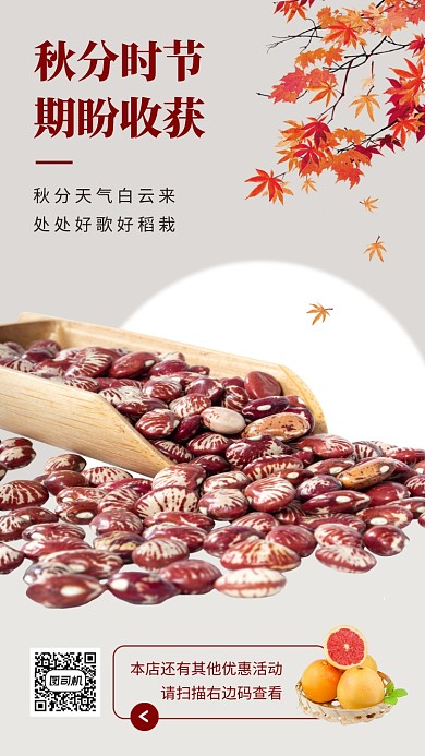 秋分节日手机海报