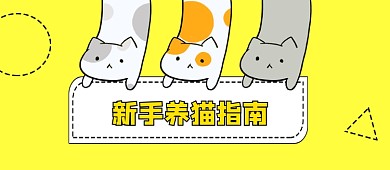 黄色新手养猫公众号首图
