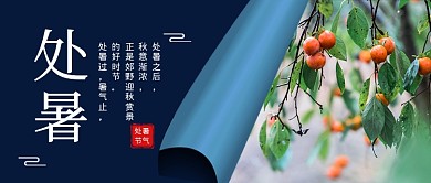 处暑节气蓝色简约公众号首图