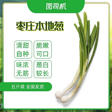 绿色简约大葱蔬菜农产品主图