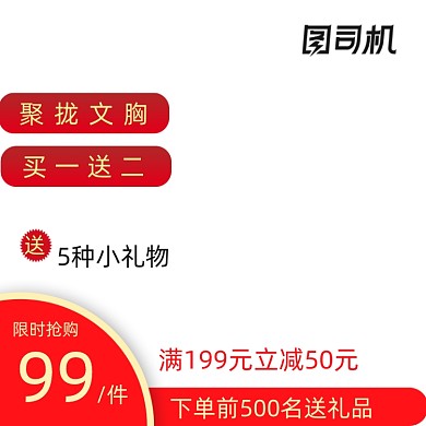 女装内衣文胸主图