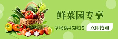 饿了么新鲜菜园满减优惠店招