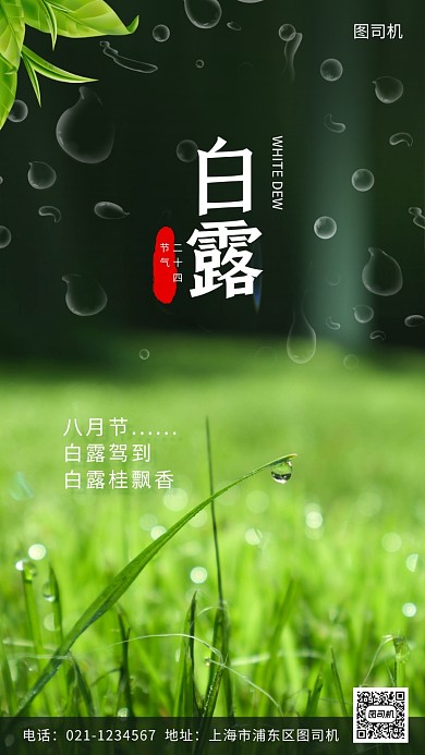 白露节日手机海报