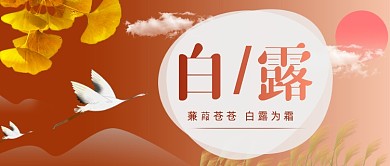 白露节气简约公众号首图