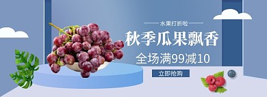 秋季瓜果飘香葡萄水果banner