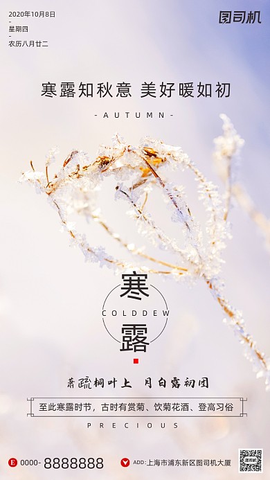 寒露节气文艺摄影图冰霜手机海报