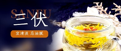 三伏天注意事项菊花茶实景公众号首图