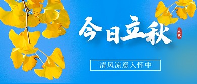 立秋节气秋天银杏叶实景公众号首图