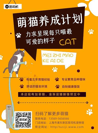 宠物寄养卡通印刷海报