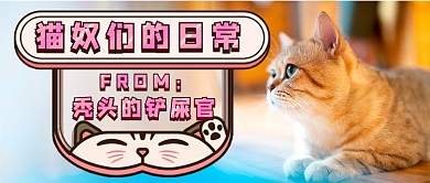 猫奴的日常写实新媒体首图
