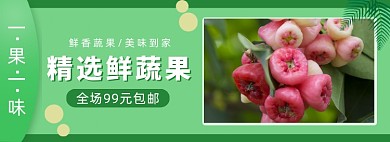 精选美味鲜蔬果水果蔬菜banner