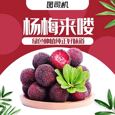 简约风水果杨梅主图
