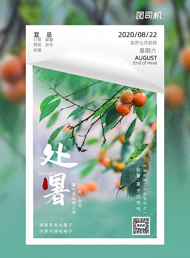 清新绿色柿子简约二十四节气处暑海报