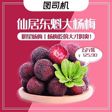 简约风水果杨梅主图
