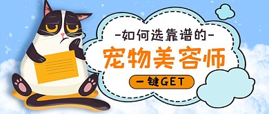 宠物美容公众号首图