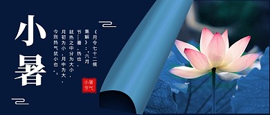小暑节气蓝色简约新媒体配图