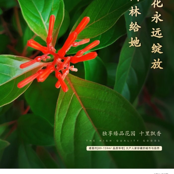 房地产绿色情人节手机海报
