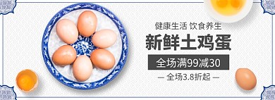 新鲜土鸡蛋促销banner