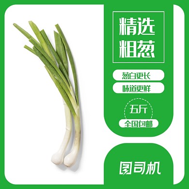 绿色简约大葱生鲜农产品蔬菜主图