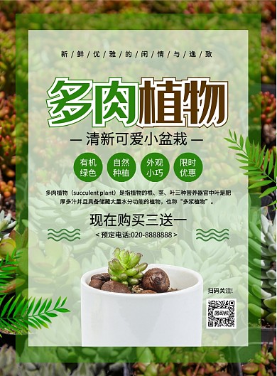 简约大气创意多肉植物促销海报