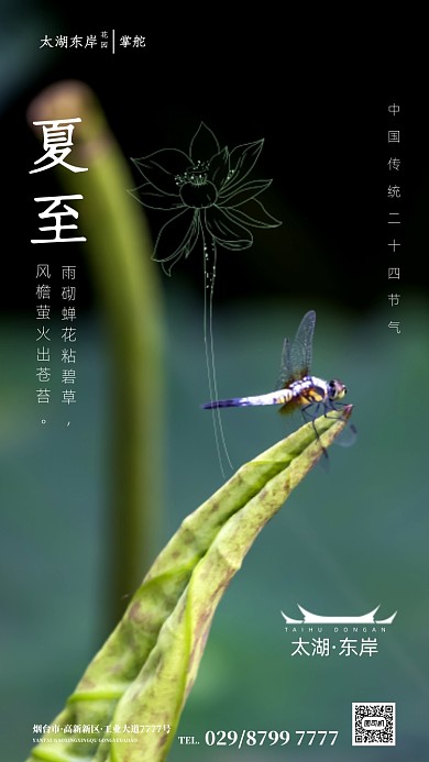 时尚清新夏至节气海报