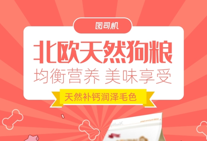 红色北欧天然宠物狗粮海报