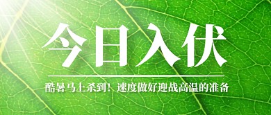 入伏传统气候绿叶公众号首图