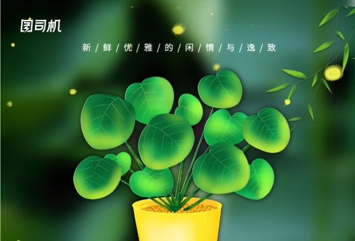 绿植盆栽宣传促销优惠活动印刷海报