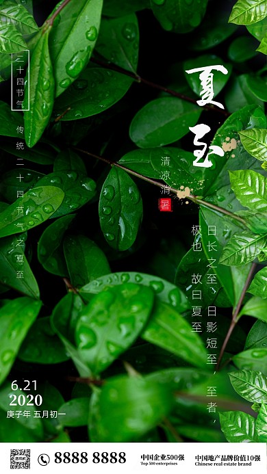 时尚简约夏至摄影海报