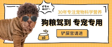 黄色趣味如何选狗粮公众号首图