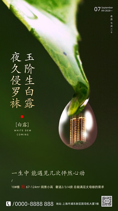 房地产传统节气白露手机海报