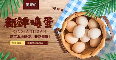 新鲜鸡蛋农副产品促销海报