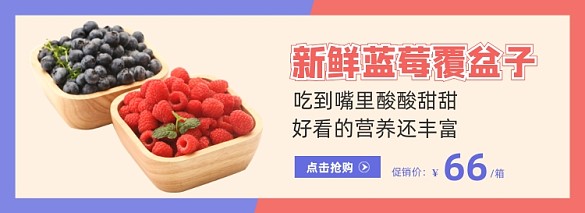 蓝莓覆盆子水果banner