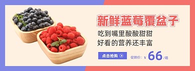 蓝莓覆盆子水果banner