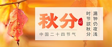 秋分节气简约秋叶公众号首图