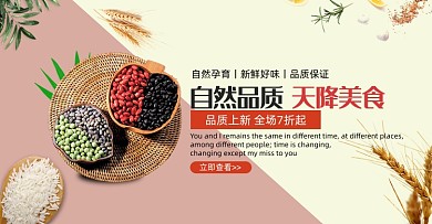 自然品质美食杂粮农产品海报