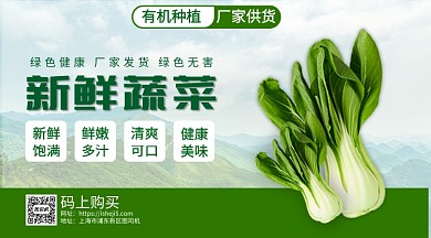 新鲜蔬菜宣传手机海报