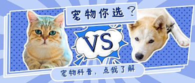 猫狗对比话题新媒体首图
