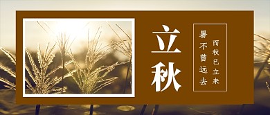 立秋节气简约摄影图公众号首图